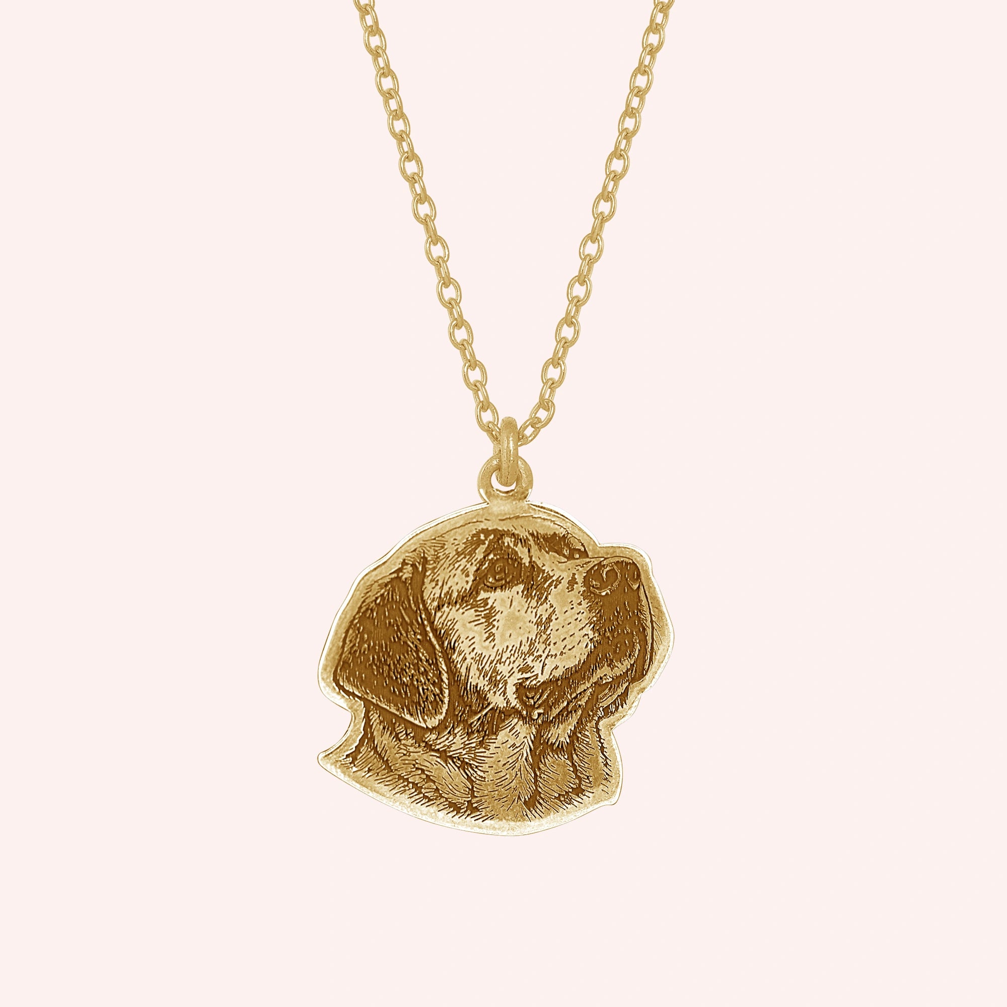 Pet_necklace_with_customized_engraved_dog_in_gold_plated_silver_at_front_angle_on_a_solid_pink_background
